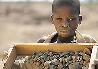 اليوم العالمي لمكافحة عمل الأطفال