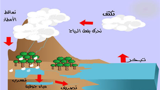 رحلة الماء