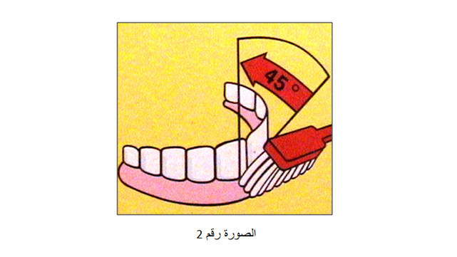 كيف أنظّف أسناني (2)